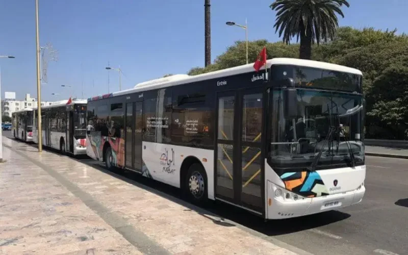 Il ne vandalisera plus les bus ...
