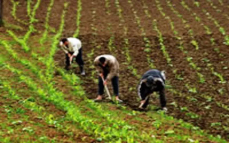 Maroc/UE : 1ère réunion du sous-comité agriculture et pêche à Rabat
