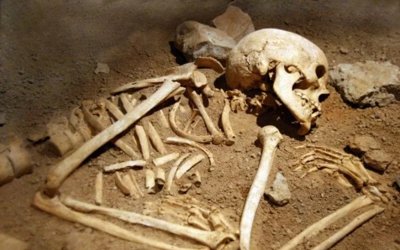 La France restitue des pièces archéologiques au Maroc