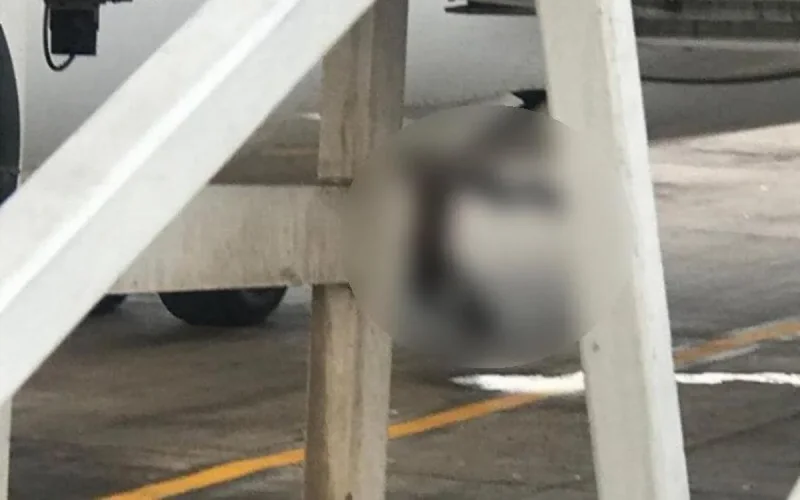 Royal Air Maroc s'explique après la mort d'un Guinéen