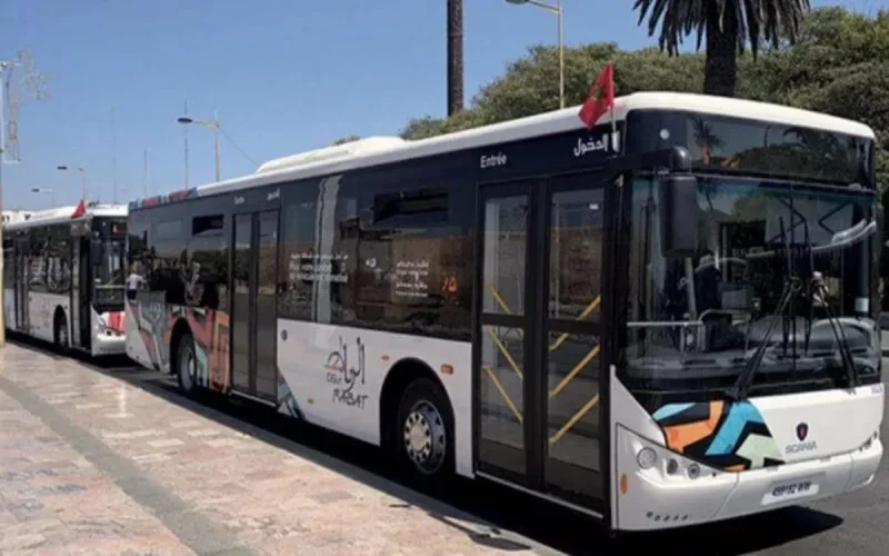 Ils ne tagueront plus les bus ...