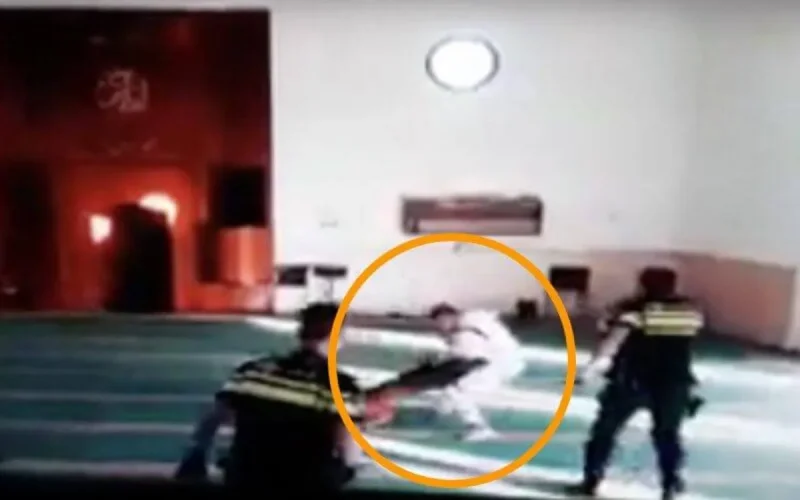 Pays-Bas : un chien neutralise un individu dangereux dans une mosquée (vidéo)