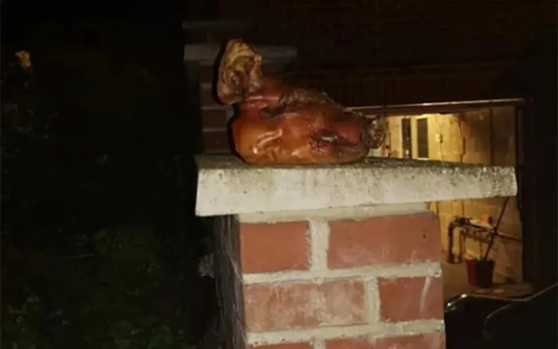 Belgique : une famille musulmane retrouve une tête de porc devant sa maison