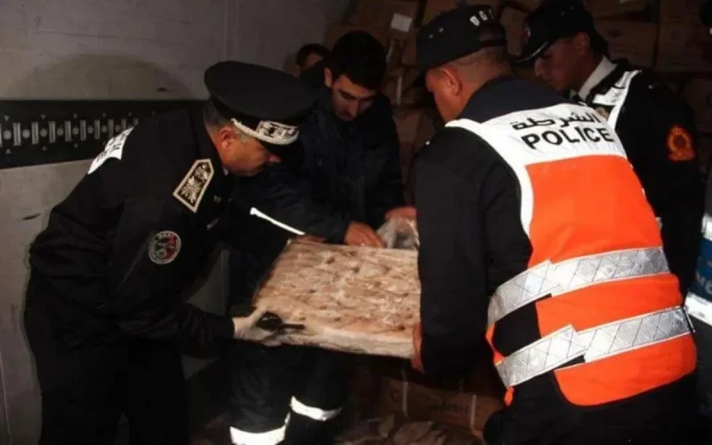 Tanger : saisie de 4 tonnes de cannabis dans une cargaison de poisson