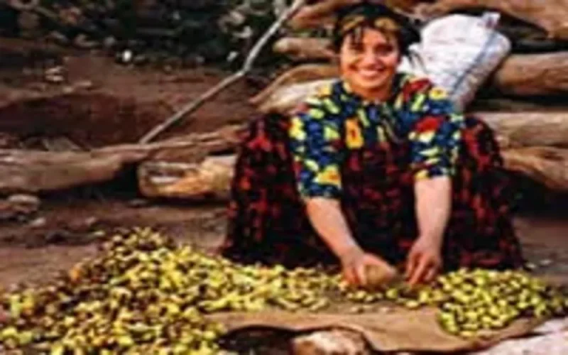 Des femmes berbères assurent leur indépendance économique