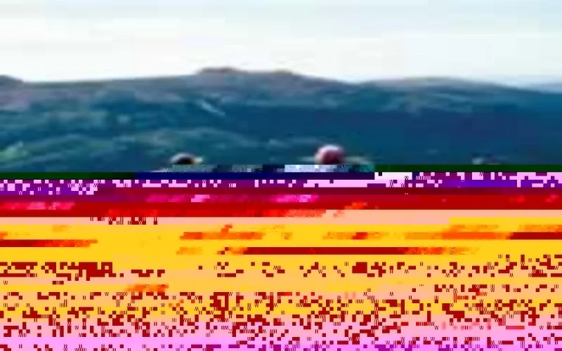 Tourisme : Les professionnels marocains prospectent le marché ukrainien