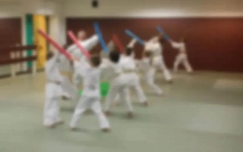 Témara : il viole des mineures dans un club de karaté