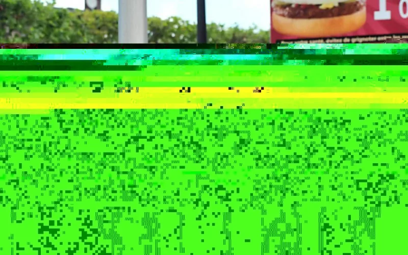 Une femme voilée meurt happée par un robot ménager