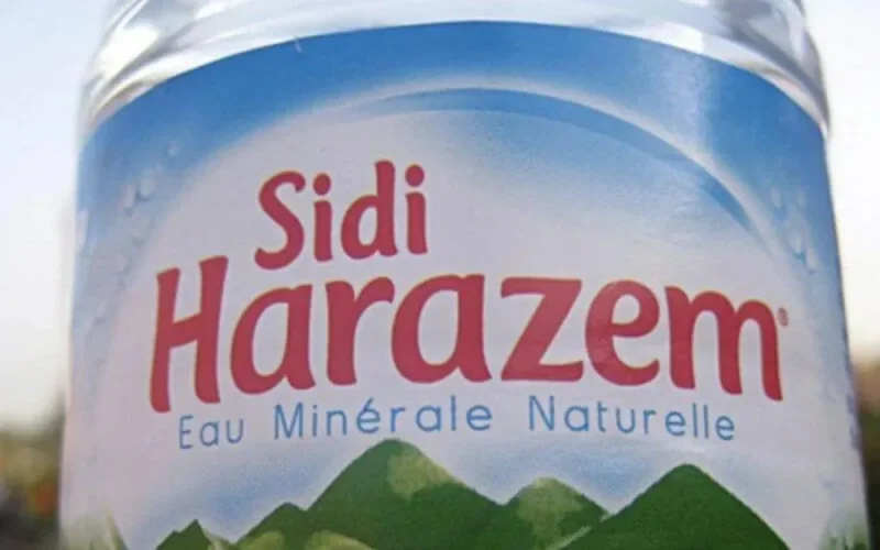 L'eau "Sidi Harazem" dangereuse pour la santé ?