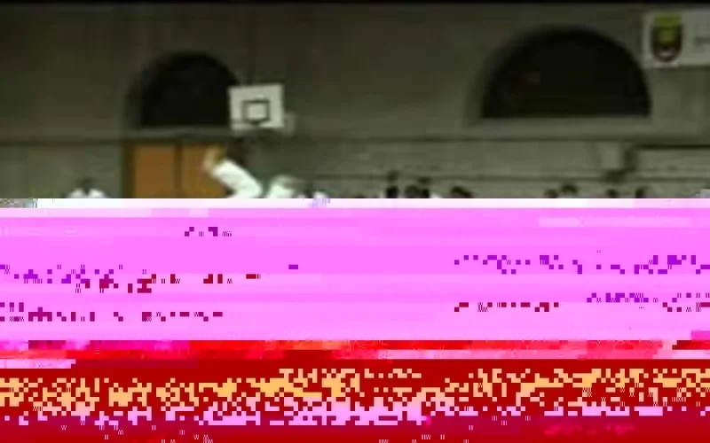 Judo : Le Maroc en stage international en Roumanie