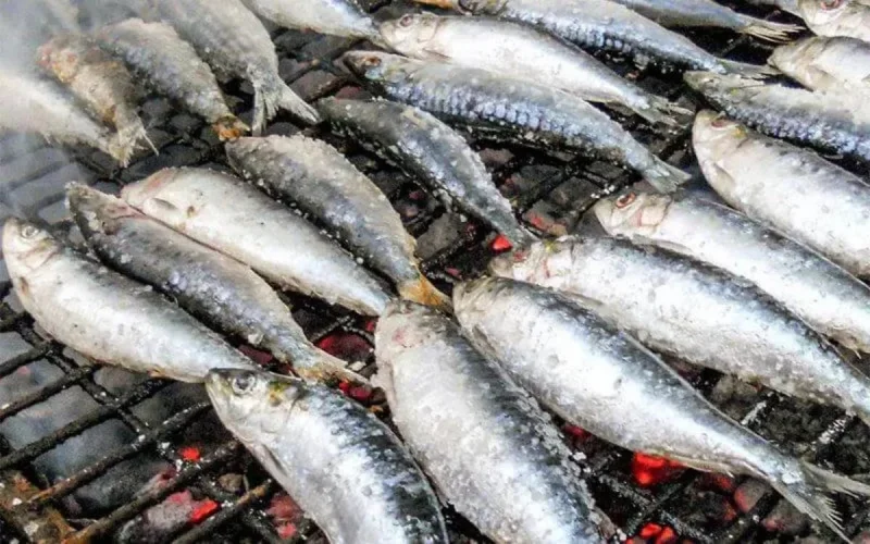 Des sardines intoxiquées dans les assiettes des Marocains ? 
