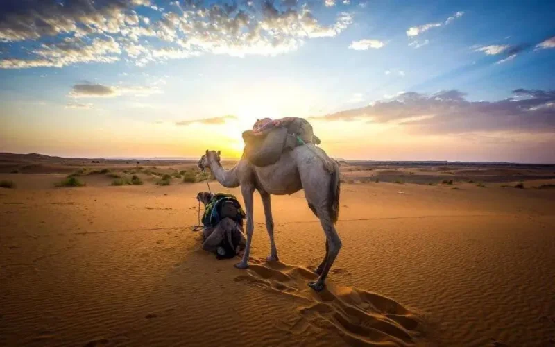 Maroc : le tourisme affiche une grande forme