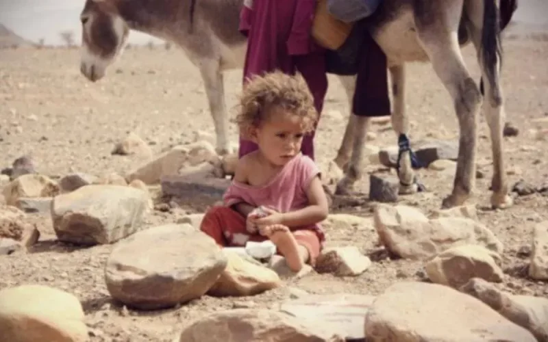 Développement humain : le Maroc derrière la Palestine