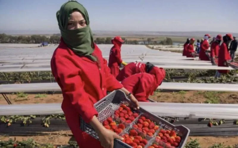 Plus de 20 000 travailleurs marocains embauchés à l'étranger en 2019