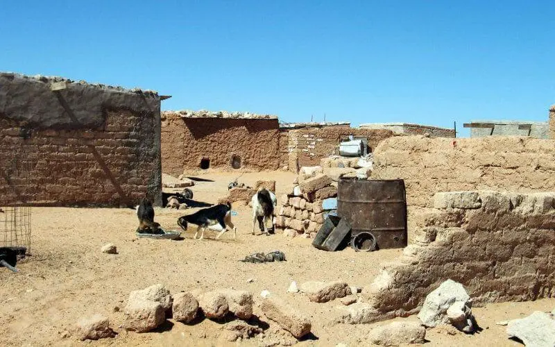 Polisario : quand les officiels algériens s'embrouillent