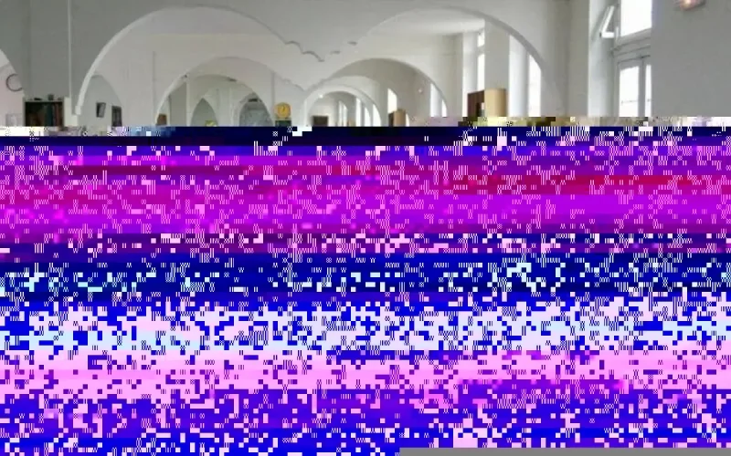 France : le pire évité de justesse près d'une mosquée à Toulouse