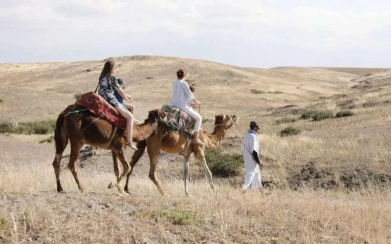 Elle porte plainte contre TripAdvisor avec une chute de dromadaire