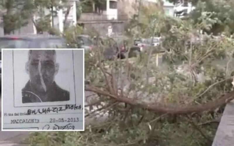 Italie : un MRE meurt écrasé par la chute d'un arbre