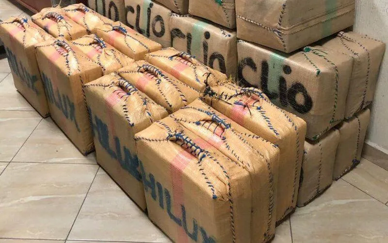 Record de drogue saisie à Agadir