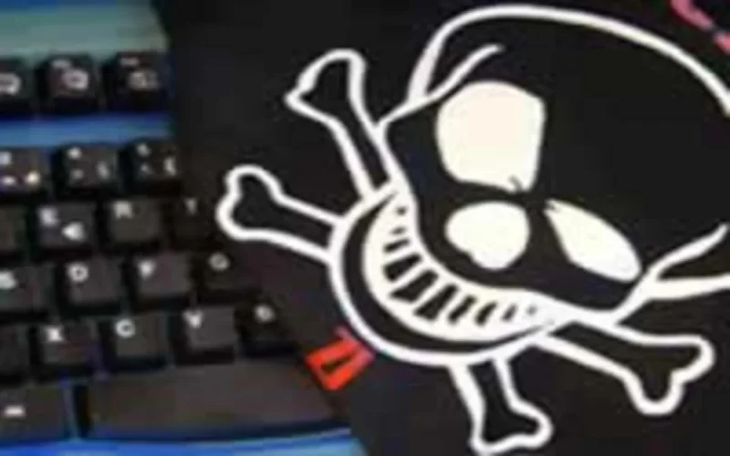 Des carders marocains à l'assaut du pognon U.S