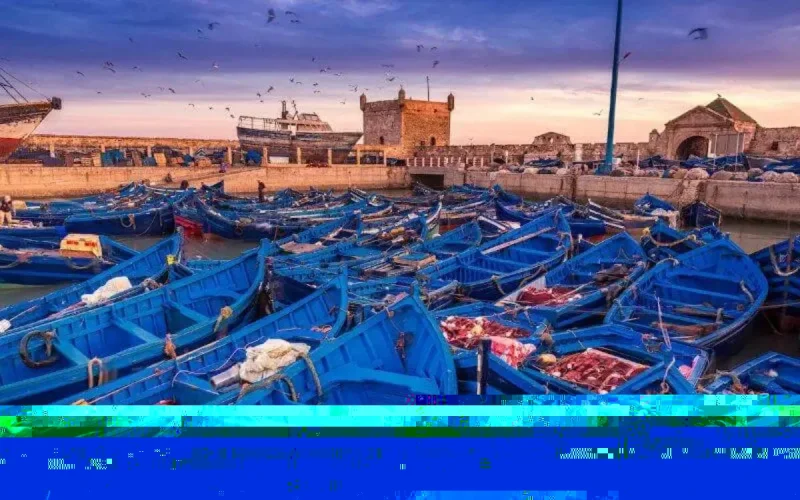 Les ambitions d'Essaouira pour booster davantage son attractivité touristique