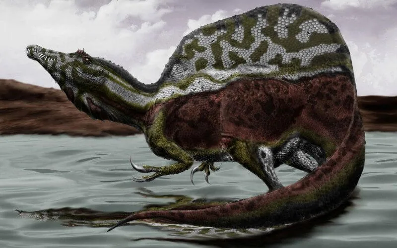 Découverte incroyable d'un dinosaure au Maroc