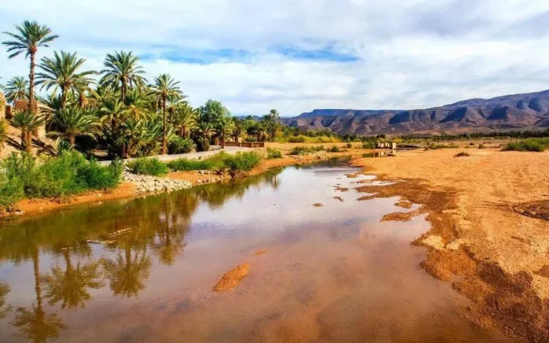 Maroc : alerte sur la disparition des oasis
