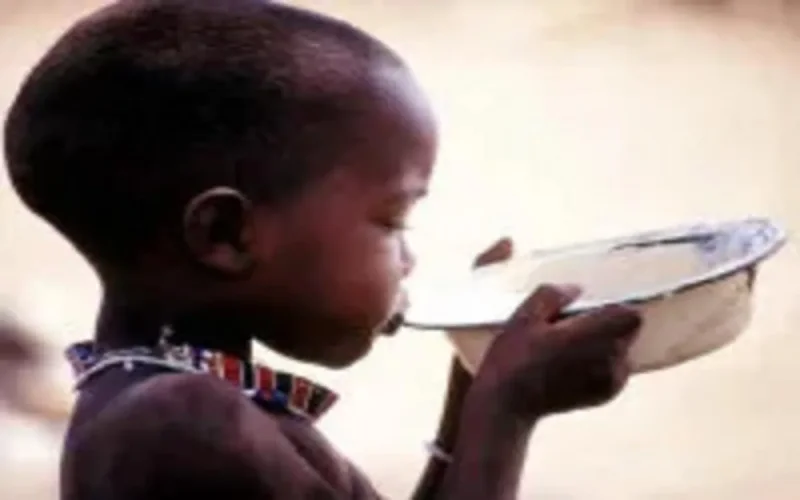 Le Maroc envoie une aide alimentaire au Niger