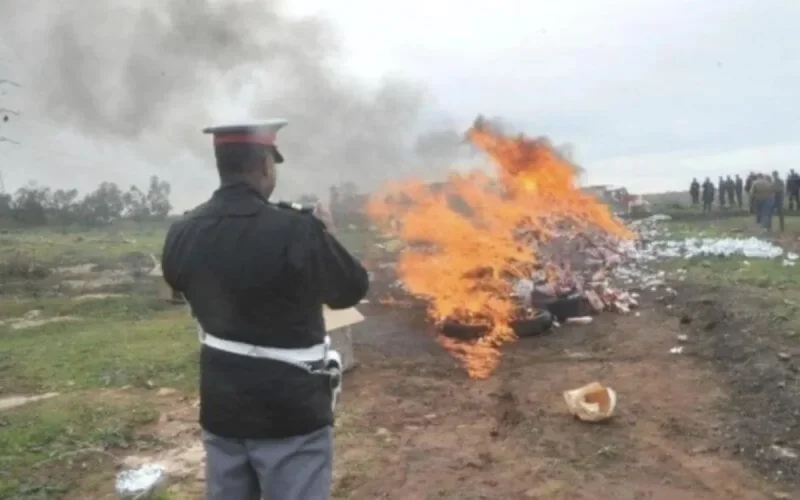 Ouarzazate : destruction d'une grande quantité de drogue