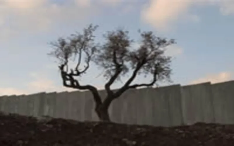 La commission du manifeste Amazigh exprime son soutien aux Palestiniens