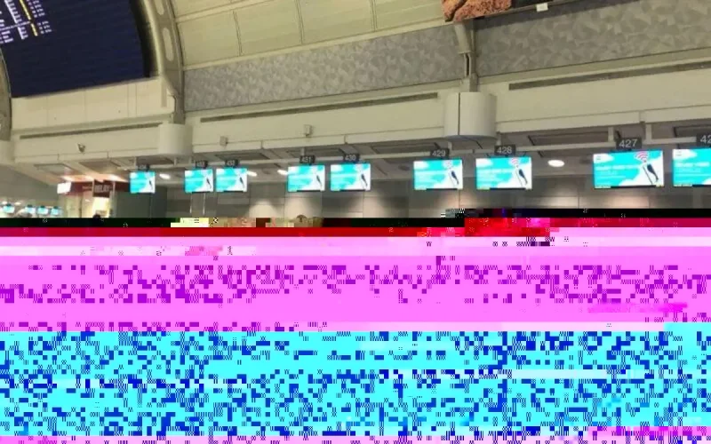 Le cri de coeur des Marocains bloqués dans les aéroports français