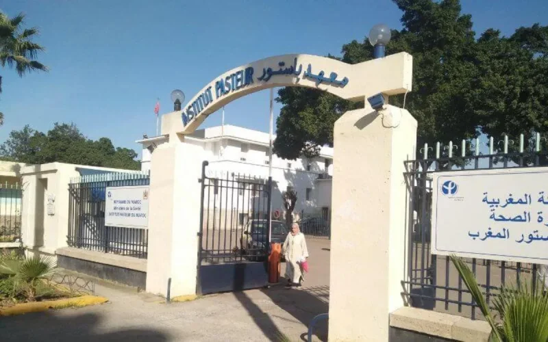 Relations sexuelles pour combattre le coronavirus : démenti de l'Institut Pasteur