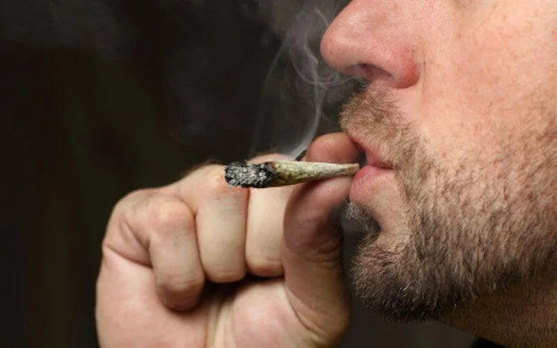 Le coronavirus fait flamber le prix du cannabis marocain