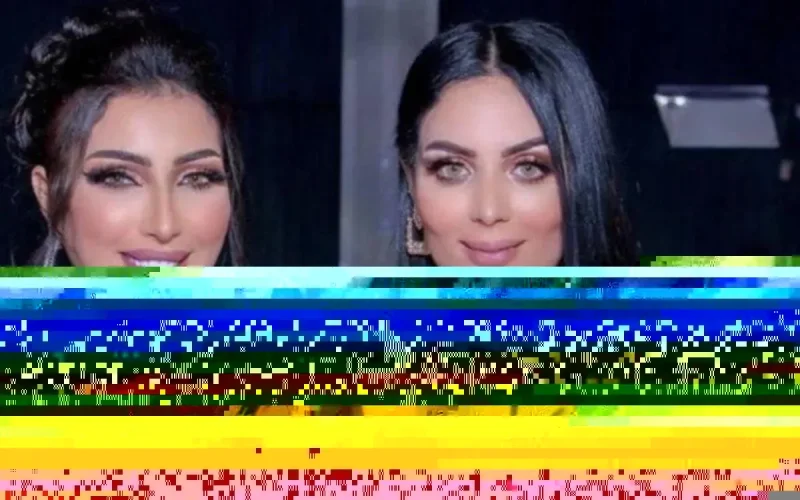 Affaire "Hamza mon bb" : pas de traitement préférentiel pour deux détenues