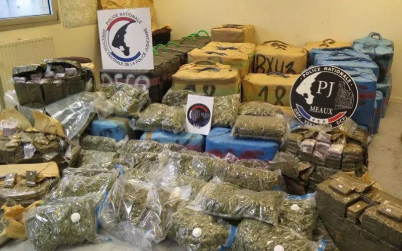 De moins en moins de cannabis marocain en France