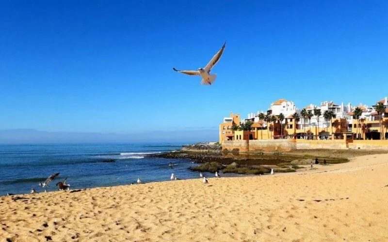 Météo : voici les températures prévues aujourd'hui au Maroc