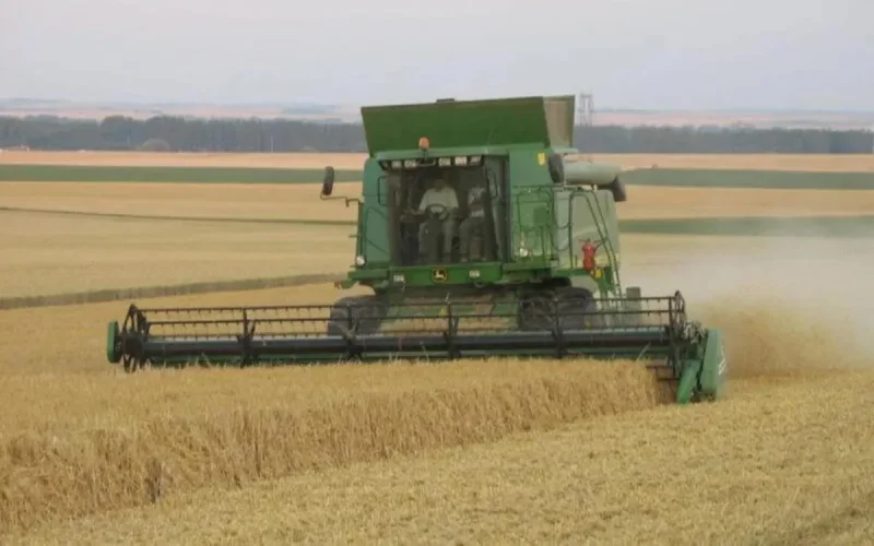 Maroc : les récoltes perturbées