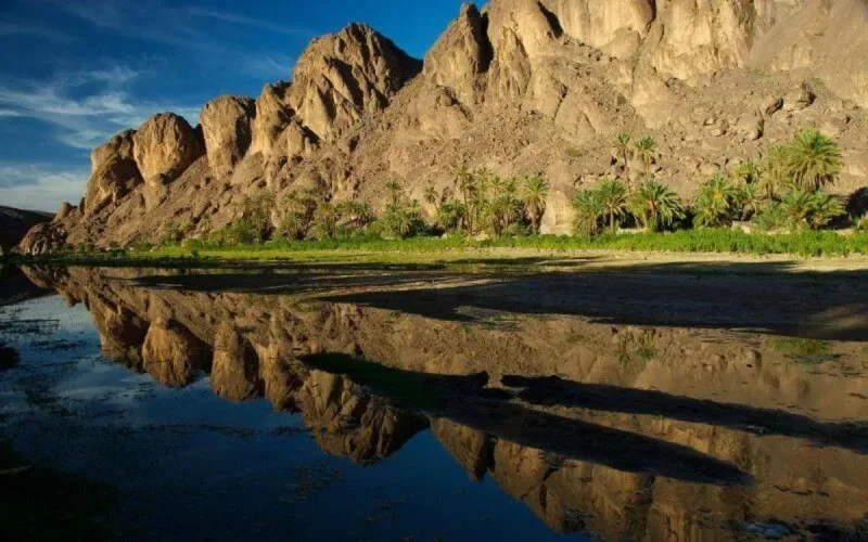 Des oasis ancestrales menacées d'extinction dans le sud du Maroc