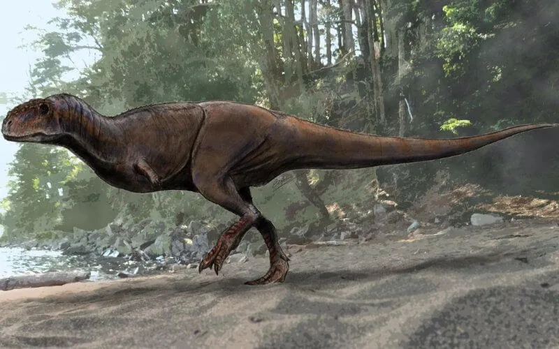 Maroc : Kem Kem était le repaire des animaux les plus "gigantesques" que la terre ait connu