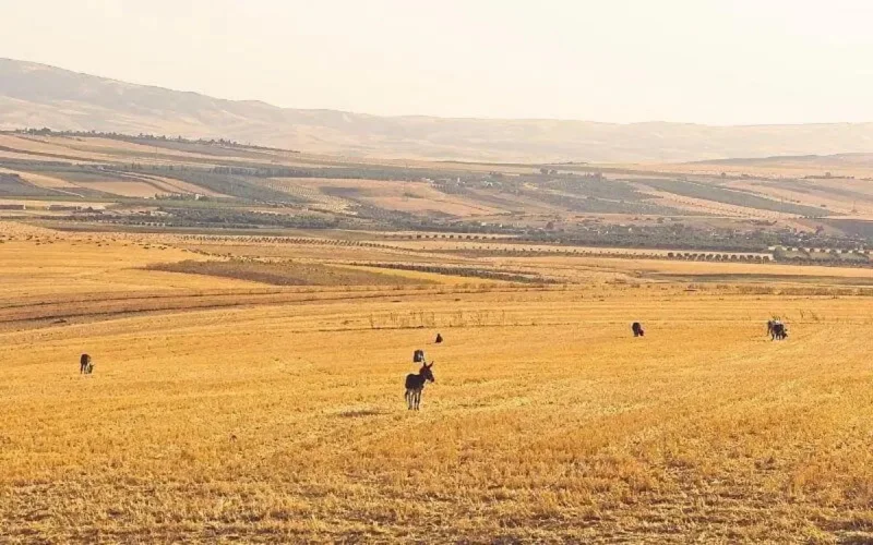 Maroc météo : faibles pluies et des températures en hausse