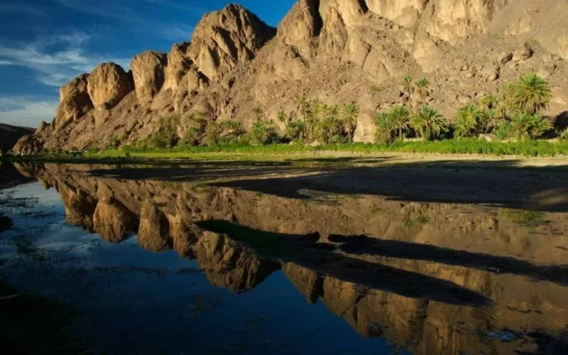 Action climatique : le Maroc deuxième mondial