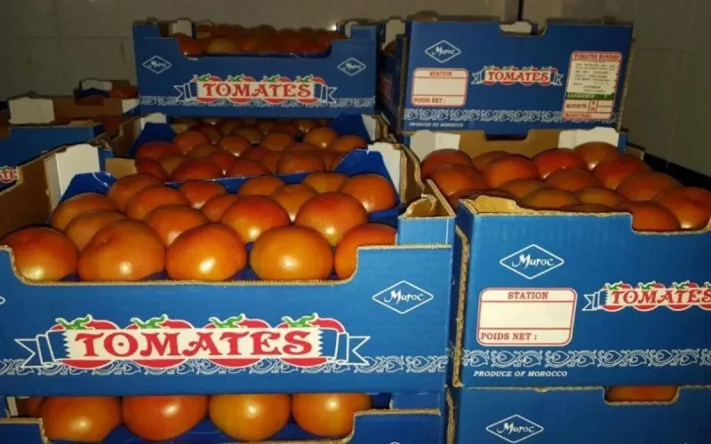 L'Afrique de l'Ouest raffole des fruits et légumes marocains