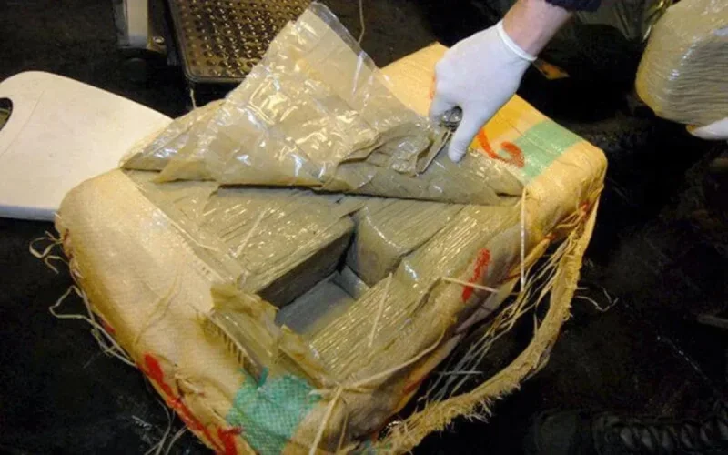 Grosse prise de cannabis marocain dans le nord de la France