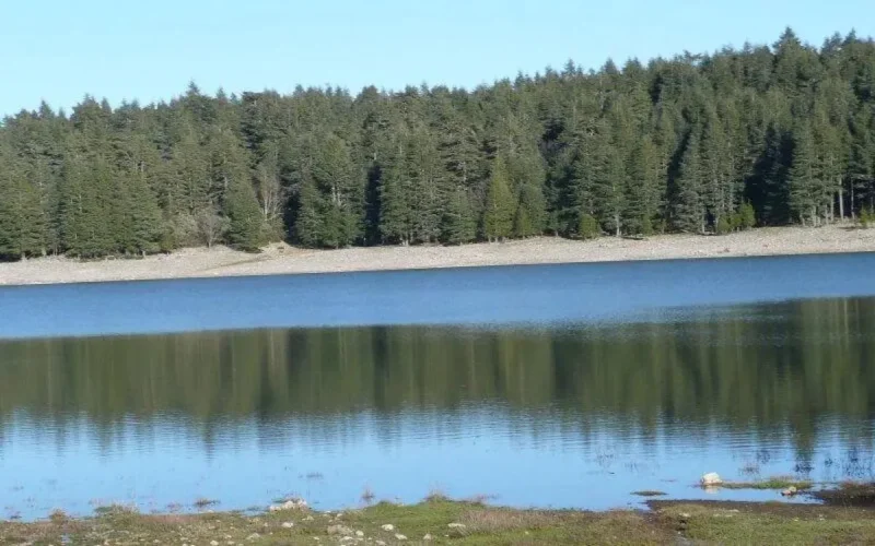 Energie verte : la presse allemande encense le Maroc