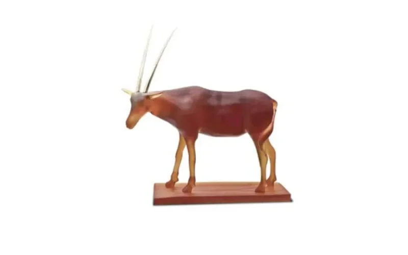 Le designer marocain Hicham Lahlou rejoint le cercle très fermé de célébrités de DAUM