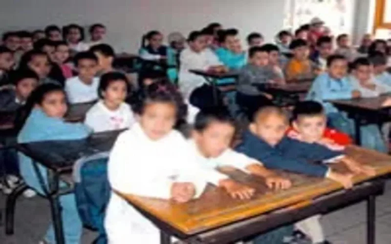 Enseignement : Echange de compétences Maroc-France