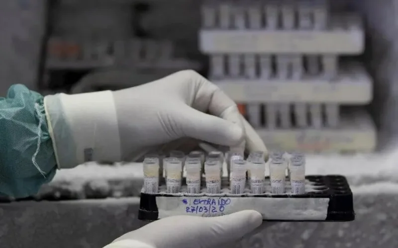 Des chercheurs marocains analysent 3 000 génomes du covid-19