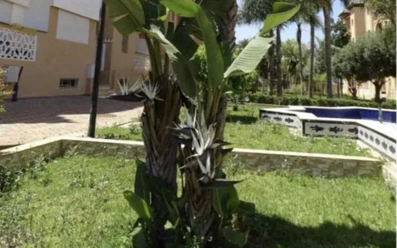 Bloqué au Maroc, un couple raconte l'interminable attente d'un rapatriement vers la France