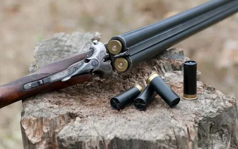 Excédé par leur dispute, un père ouvre le feu sur ses enfants 