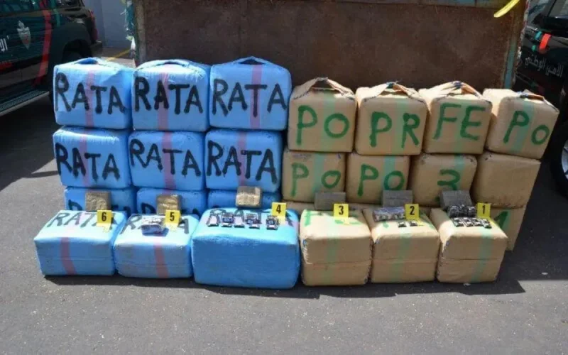 La douane marocaine ne chôme pas pendant l'état d'urgence